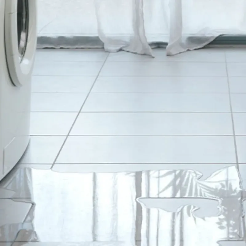 Appliance Leak Cleanup in Carrollton, MS