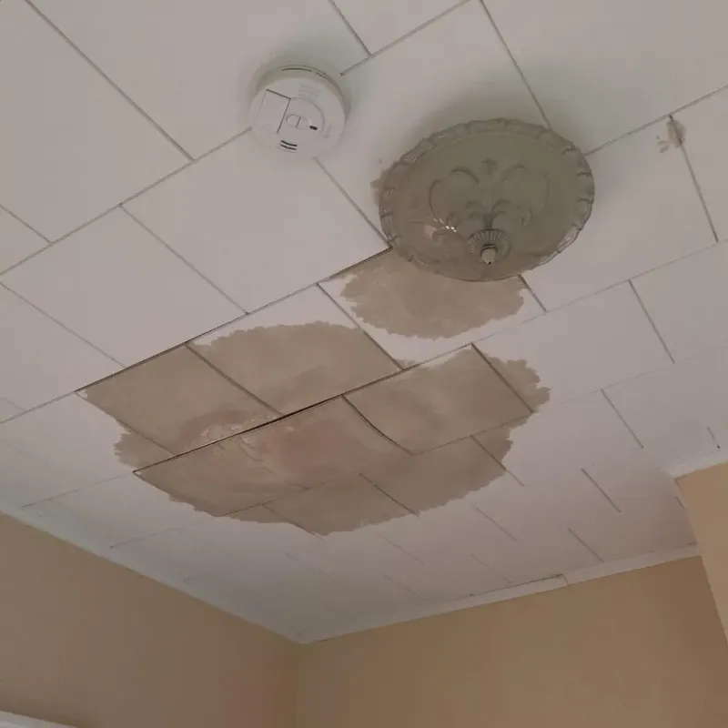 Ceiling Water Damage Repair in Carrollton, MS