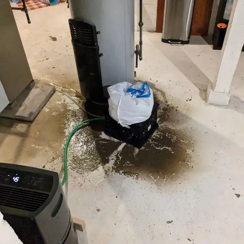 Sewage Backup Cleanup Service in Carrollton, MS